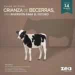 CRIANZA DE BECERRAS, UNA INVERSIÓN PARA EL FUTURO